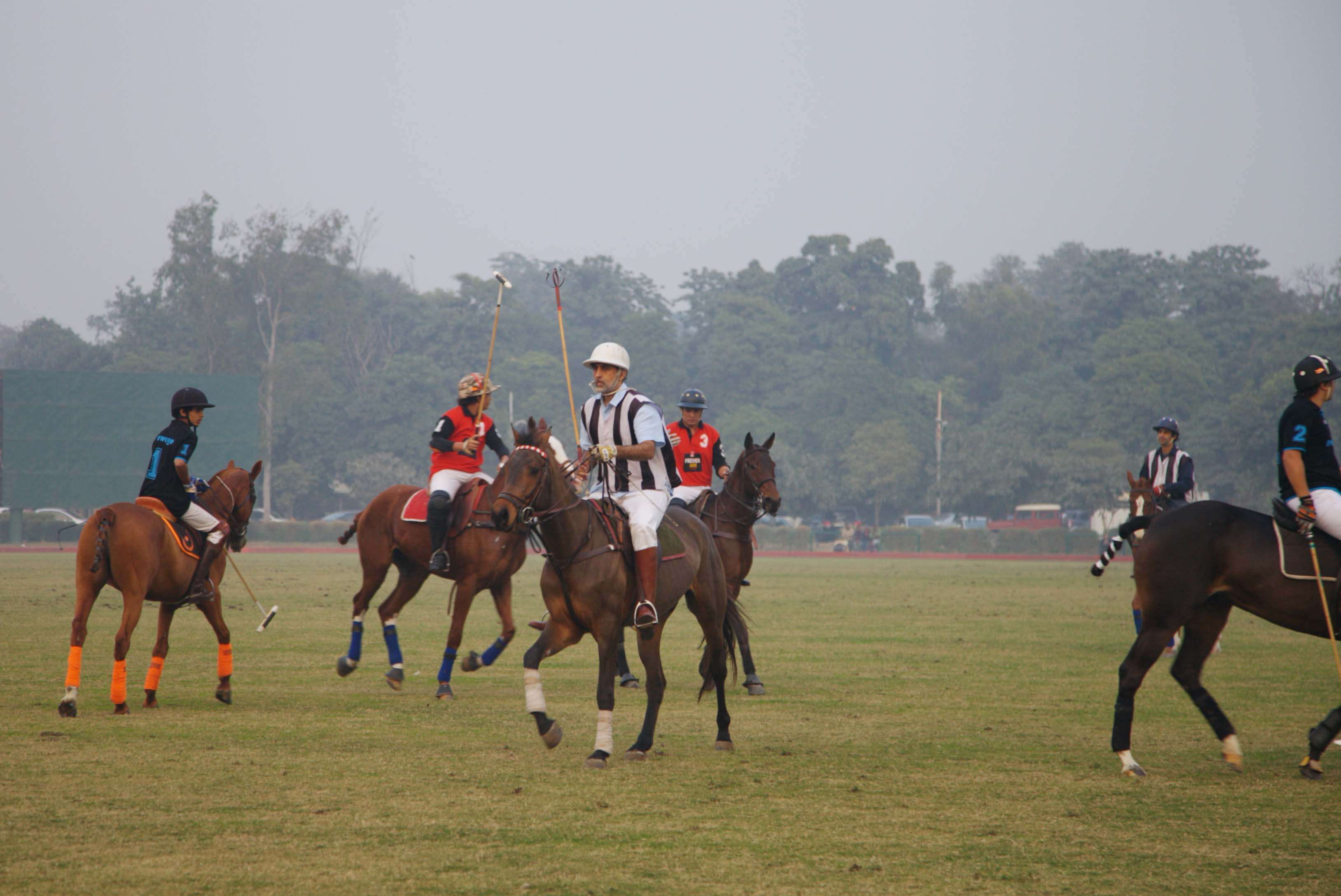 Elan Polo Cup