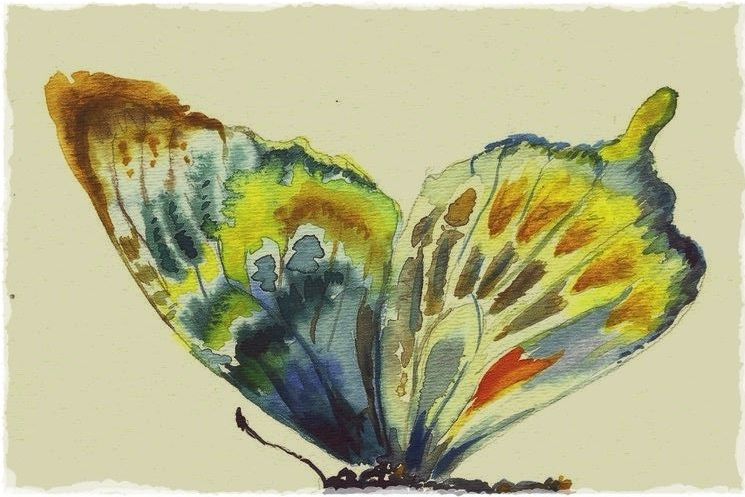 When she transformed into a butterfly