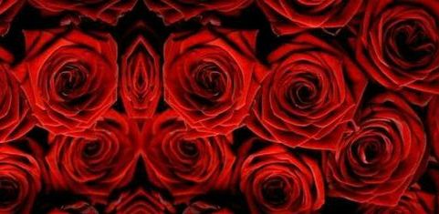 Valentines Day Giveaway!