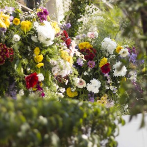 Zara Shahjahan Lawn 2015