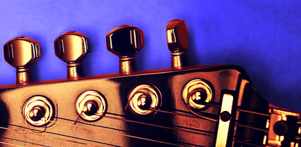 Walnut Sessions