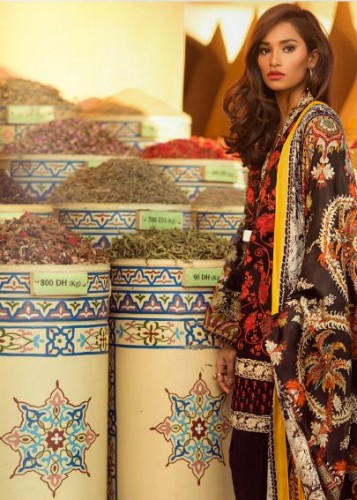 ELAN LAWN 2016