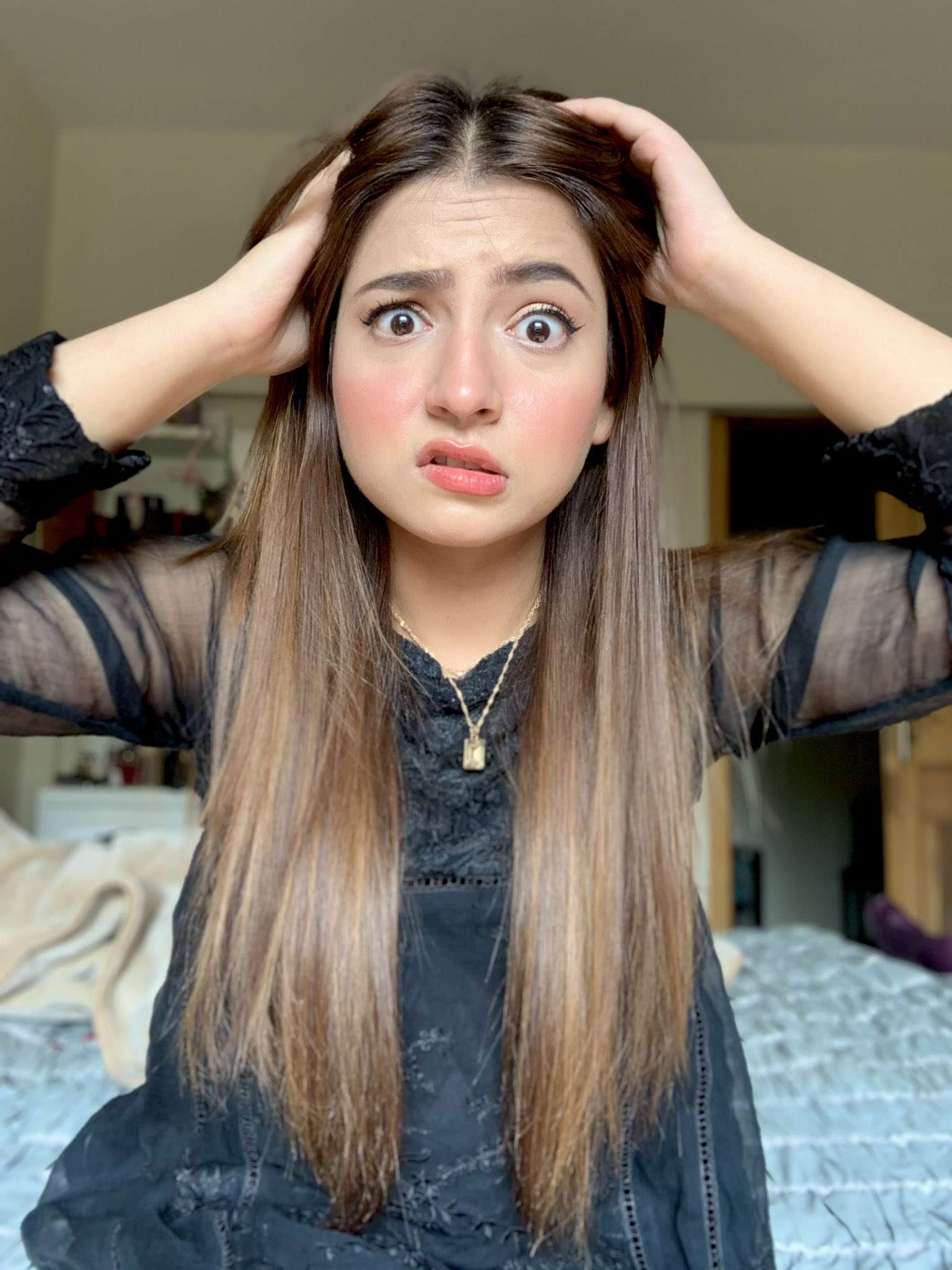 Pawri Girl Dananeer - All you need to know