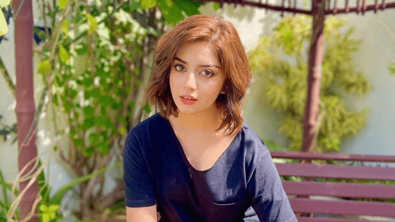 Biography of Alizeh Shah