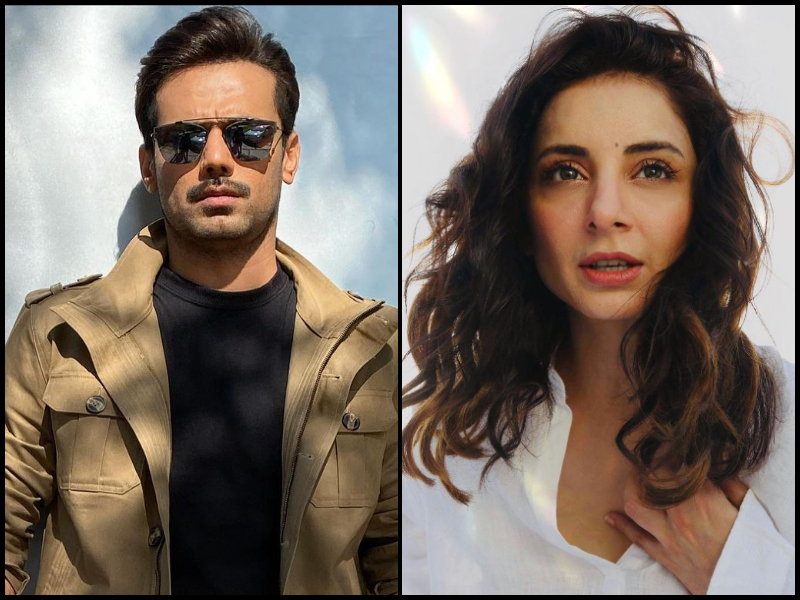 Sarwat Gillani and Zahid Ahmed