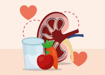 Foods good for kidney health