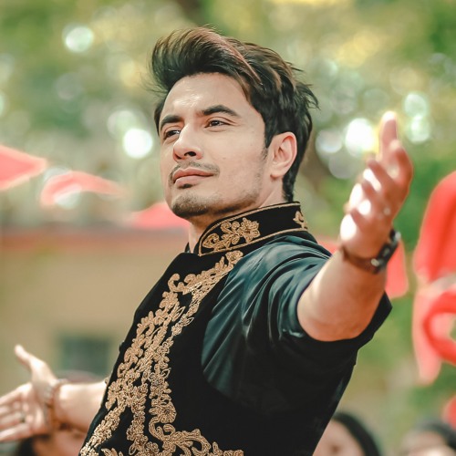 Richest Pakistani celebrities