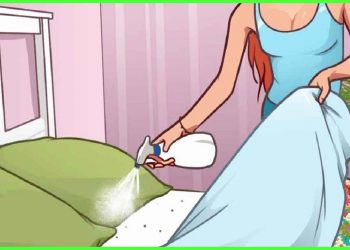 Homemade mosquito repellents