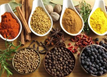 Best masala brands in Pakistan