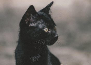 11 DESI SUPERSTITIONS WE GREW UP HEARING