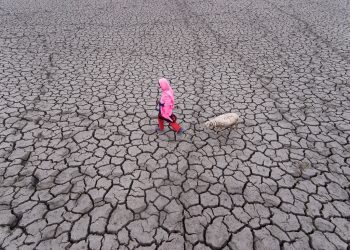 7 EFFECTS OF CLIMATE CHANGE ON OUR FUTURE GENERATIONS