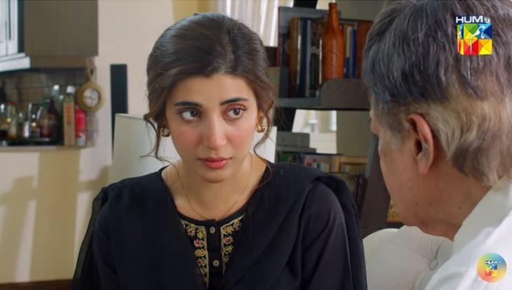 Meri Shehzadi Episode 8