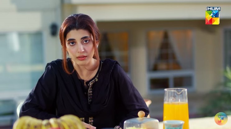 Meri Shehzadi Episode 8