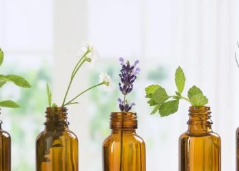 10 BEST ESSENTIAL OILS TO TRY FOR YOUR OVERALL HEALTH