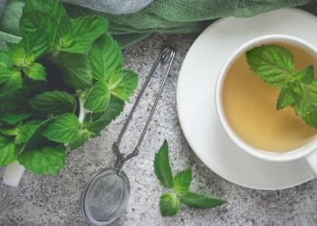 8 INCREDIBLE BENEFITS OF SPEARMINT TEA
