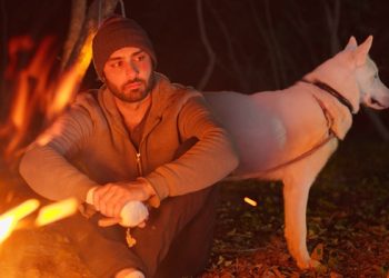 GREEN ENTERTAINMENT HAS FANNED THE FLAME BY RELEASING IDIOT’S OST